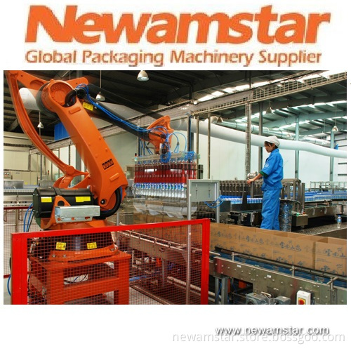 Robot Packing Machine